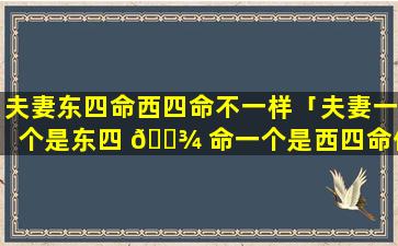 夫妻东四命西四命不一样「夫妻一个是东四 🌾 命一个是西四命住什么房子」